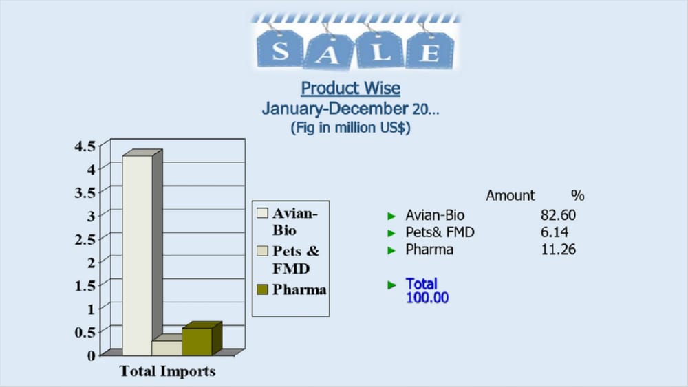 company-profile 