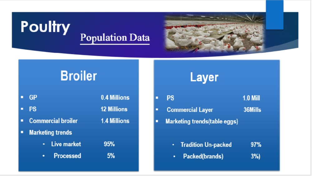 country-profile